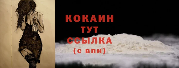 скорость Шенкурск