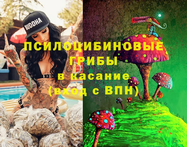 меф Санкт-Петербург