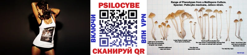 Псилоцибиновые грибы Psilocybine cubensis  Улан-Удэ 