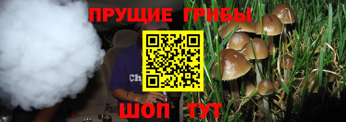 Галлюциногенные грибы GOLDEN TEACHER  Псилоцибиновые грибы Psilocybe  Вход с VPN  где купить наркотик  Улан-Удэ 